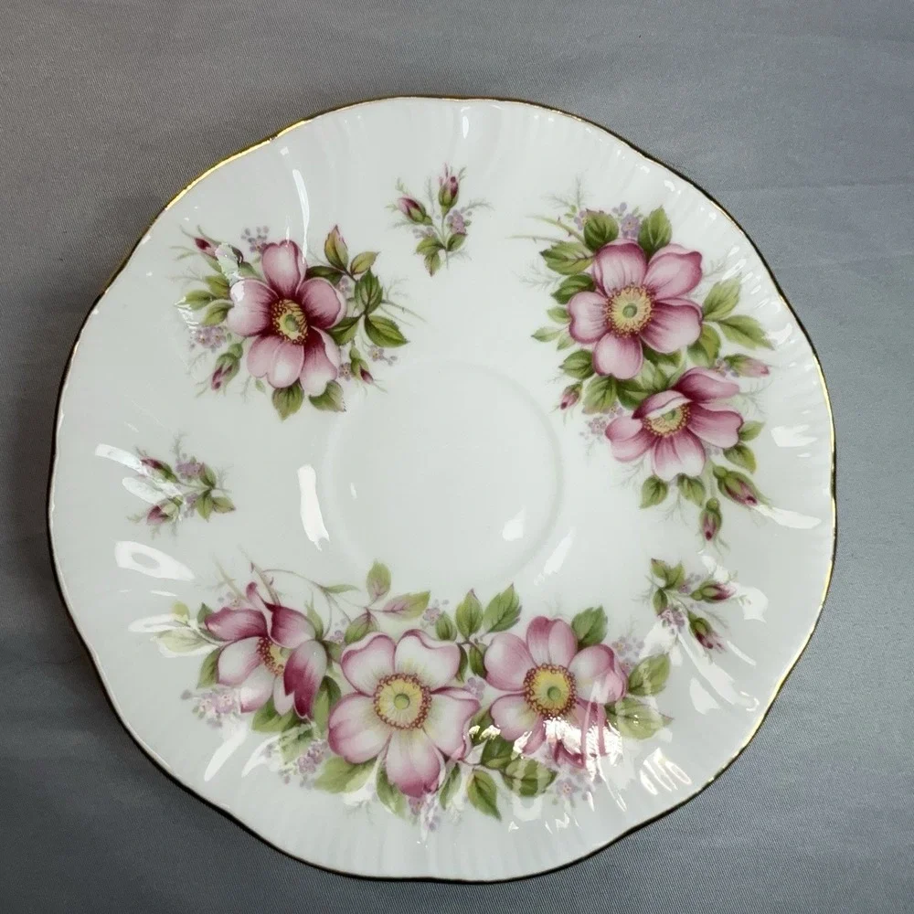 Queen's Prairie Rose‎ Tea Cup and Saucer Banff Alberta England Bone China